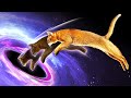 Perché I Buchi Neri Sono Come Il Gatto di Schrodinger