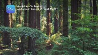 Calm | Mindfulness Tools with U.S. Surgeon General Dr. Vivek Murthy - Introduction