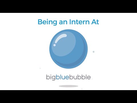 The Internship Experience At Big Blue Bubble