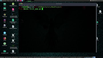 How to Declare and Assign Variables with Golang on Parrot Security Linux