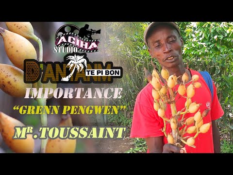 D&rsquo;ANTANM TE PI BON Importance "Grenn Pengwen "