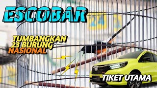 SIKAT MOBIL TIKET UTAMA‼️MURAI BATU ESCOBAR/HAJI JUI #kicaumania #smr #prasasti #muraibatuindonesia