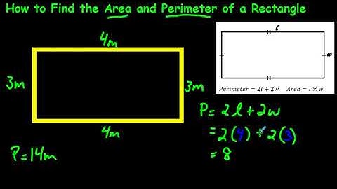 How to Find the Area and Perimeter of a Rectangle
