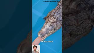 How to escape from an alligator death roll 😨 #trending #shortfeeds #viralshort