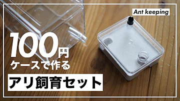 あり女王ありから育てる