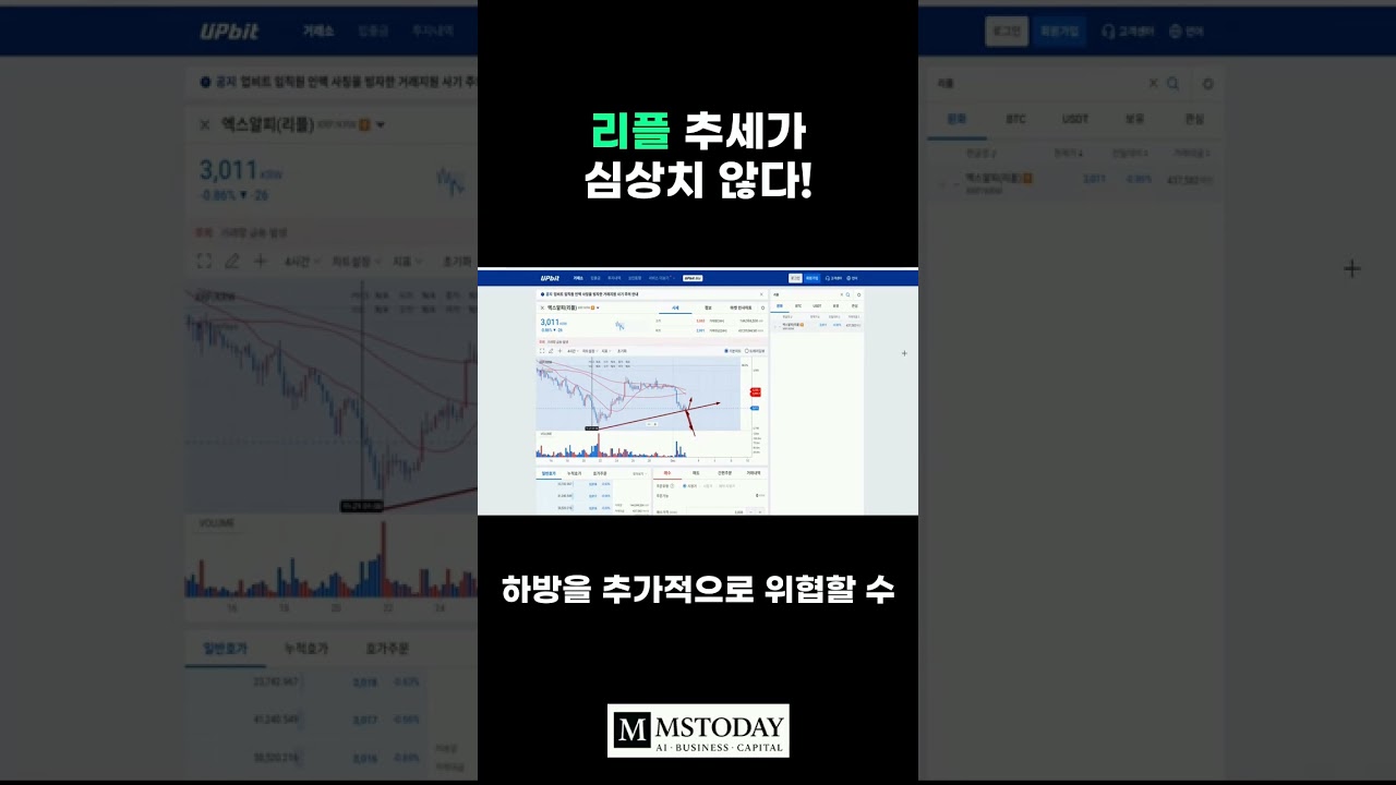 머니쇼츠-영상] 리플 추세가 심상치 않다 - MS TODAY