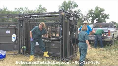 Titan West Cattleman Hydraulic Chute