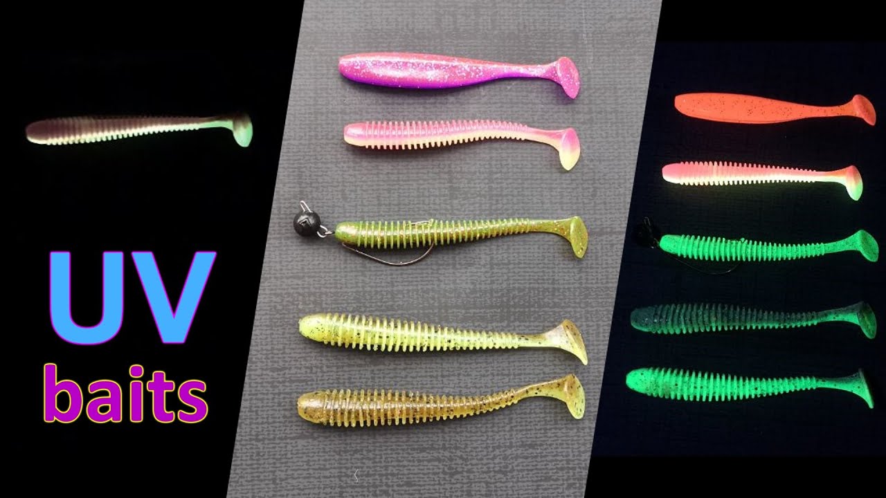 UV baits for zander fishing - YouTube
