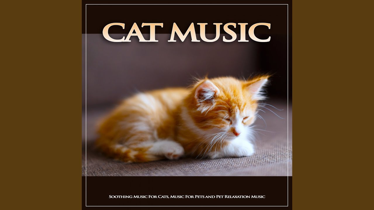 Background Music For Cats - YouTube