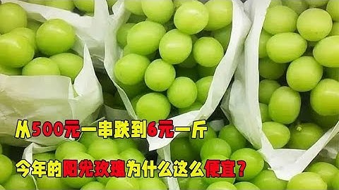 从500元一串跌到6元一斤，今年的阳光玫瑰为什么这么便宜？