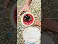 スイカで魚が釣れる！？驚きのサバイバル釣りテクニック#survival #outdoorlife #camping #アウトドア