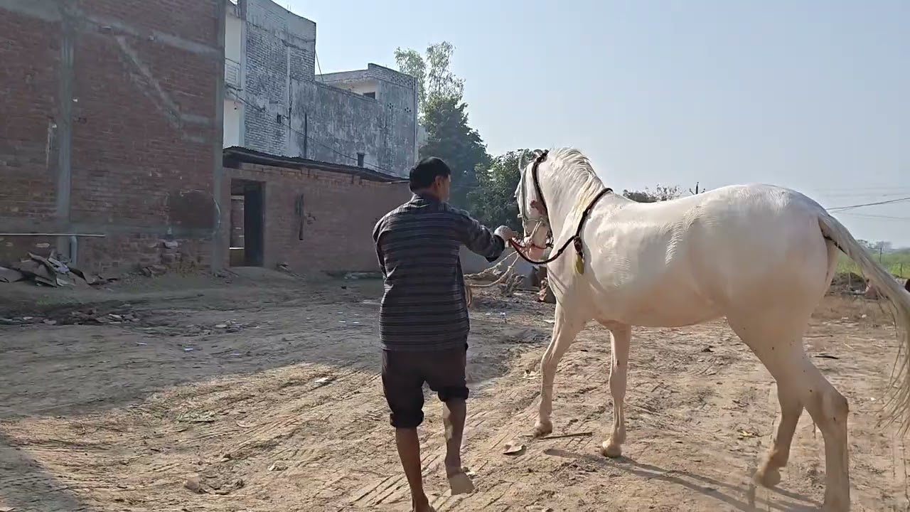 धूप में नहलाने के बाद 