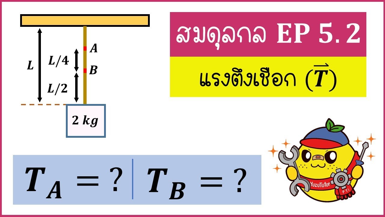 ฟิสิกส์ - สมดุลกล ( Ep5.2) : แรงตึงเชือก, เชือกเบา , เชือกมีมวล