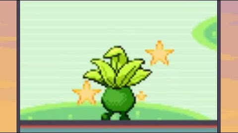 Live Shiny Oddish in the Safari Zone after 22064 Encounters! (Safari Week 2022)