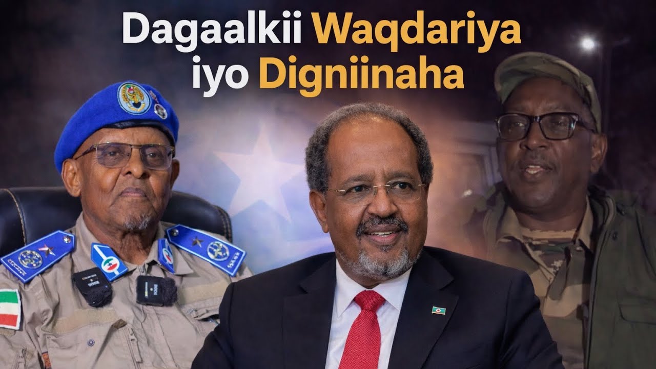 Yaa Ka Danbeeya Dagaalka Sanaag, Maxayse Yihiin Digniinaha la diray