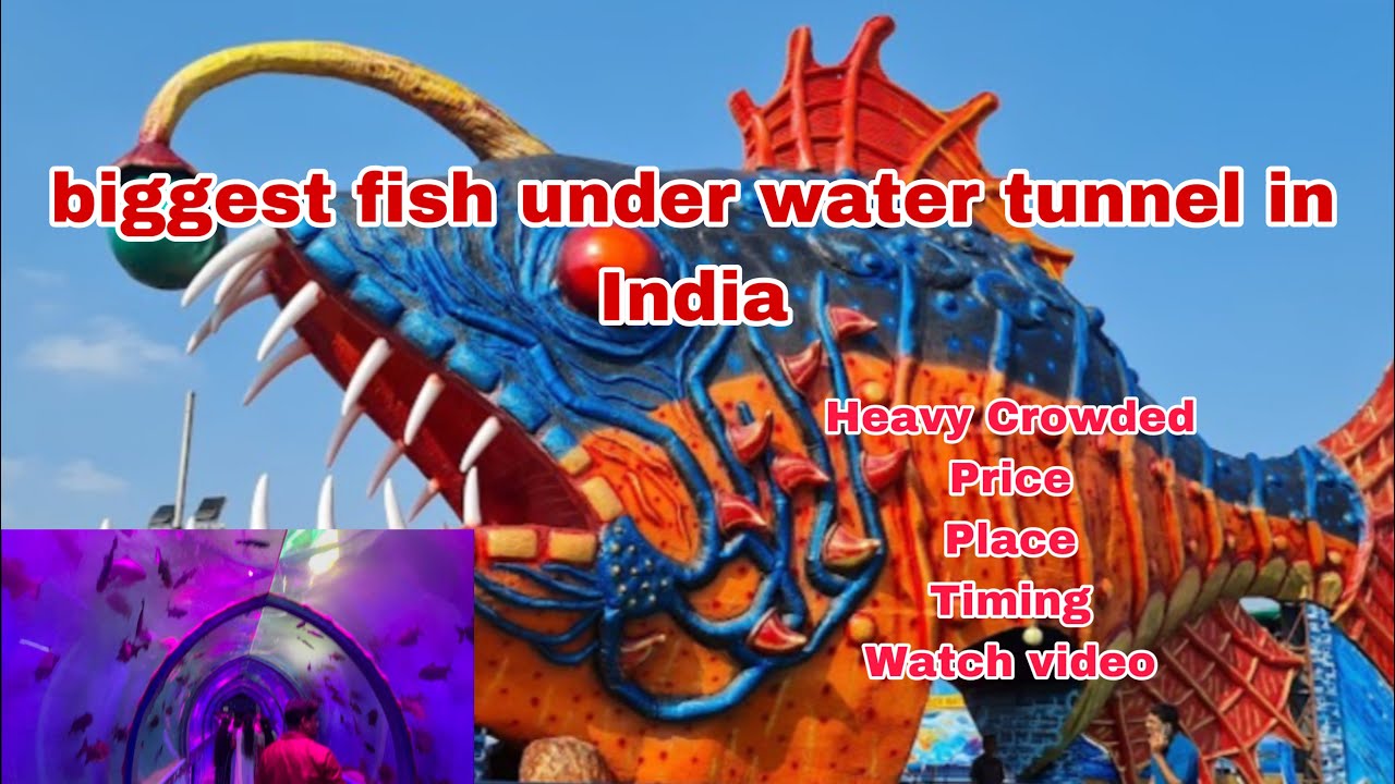 Under Water Tunnel Aquarium Expo 2023 Hyderabad Under Water Tunnel In