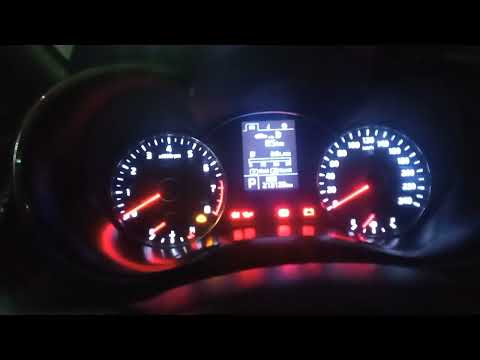 دنيا فيها البدع صاصا