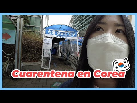 QUARANTINE in KOREA 🇰🇷 I almost ruined the kitchen because of the birthday seaweed soup 😱