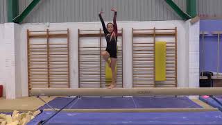 BEAM STEP 3 2018