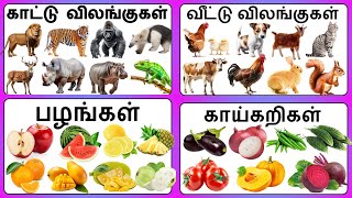 காட்டு விலங்குகள்/வீட்டு விலங்கு/பழங்கள்/காய்கறிகள்/Wild Animals/DomesticAnimals Fruits/Vegetables