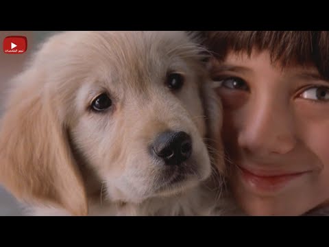 كلب ذكى بيرجع لبيته بعد غياب سنين عشان يحمى عائلته ملخص فيلم Fluke