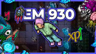 EM 930 Hunt x4 Library Energy Section 10.7kk/h Raw + 4.5kk Profit - Tibia Hunt [15.24]