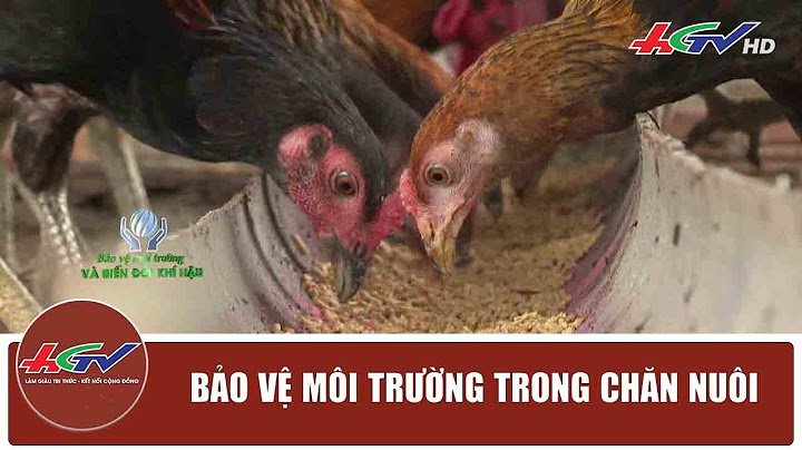 Thông tư hướng dẫn về chăn nuôi và môi trường
