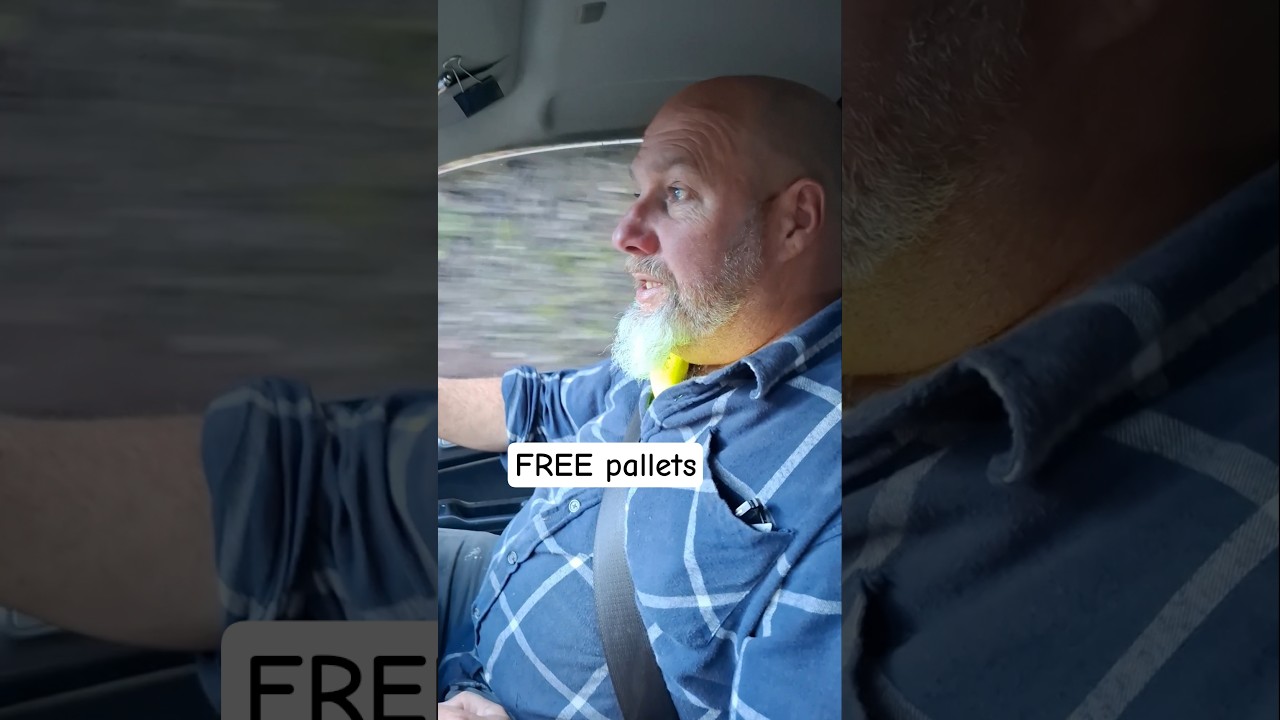 FREE pallets for winter