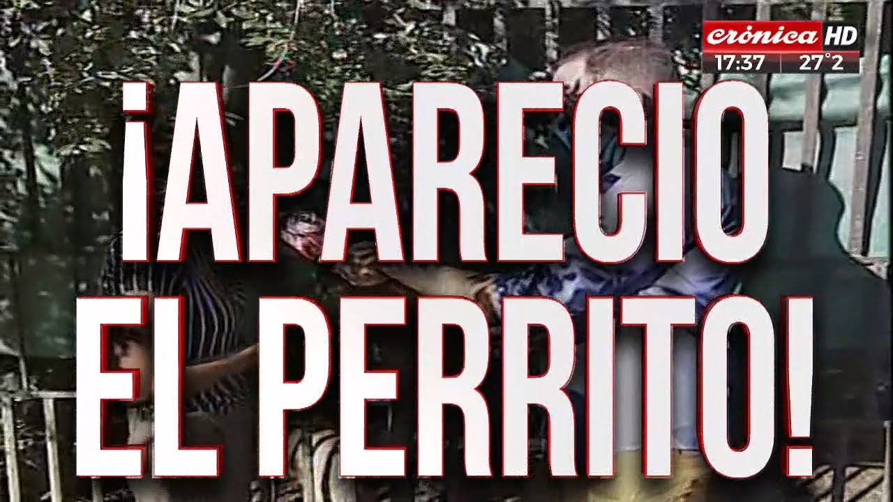 A TODO O NADA PARA RECUPERAR SU CASA