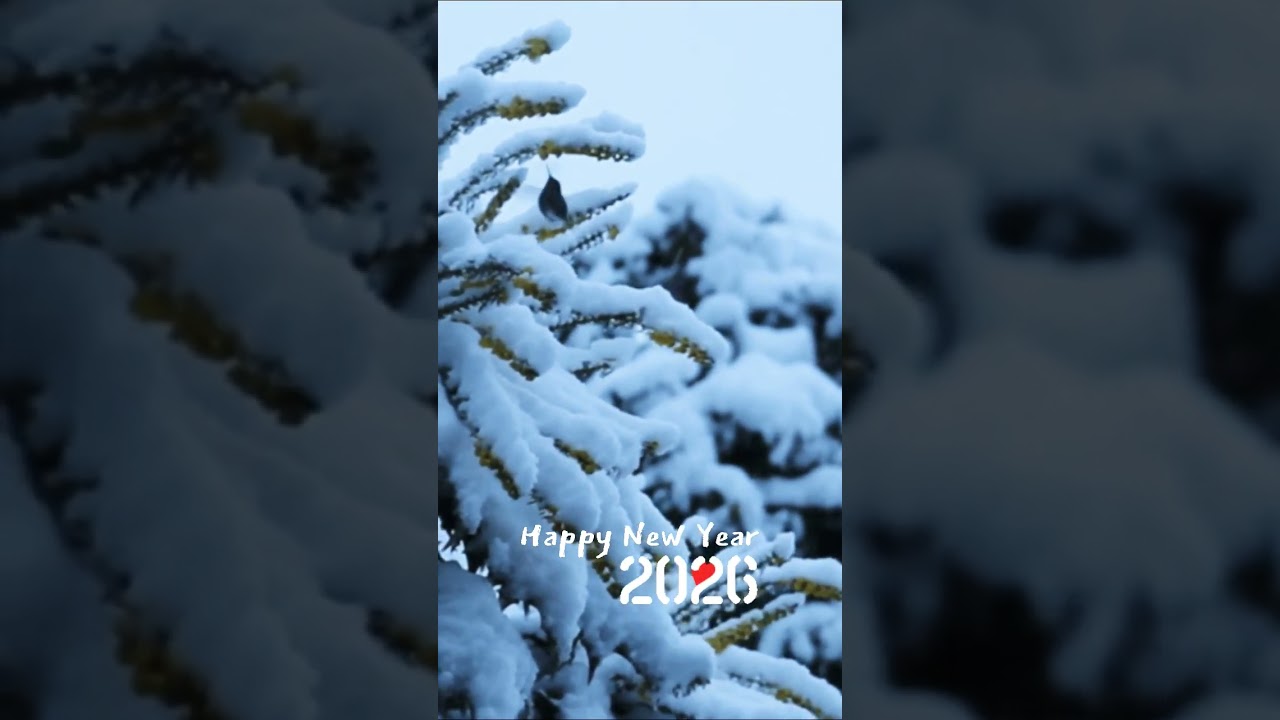 Happy New Year 2026 #happynewyear #happynewyear2026 #happynewyear2026status