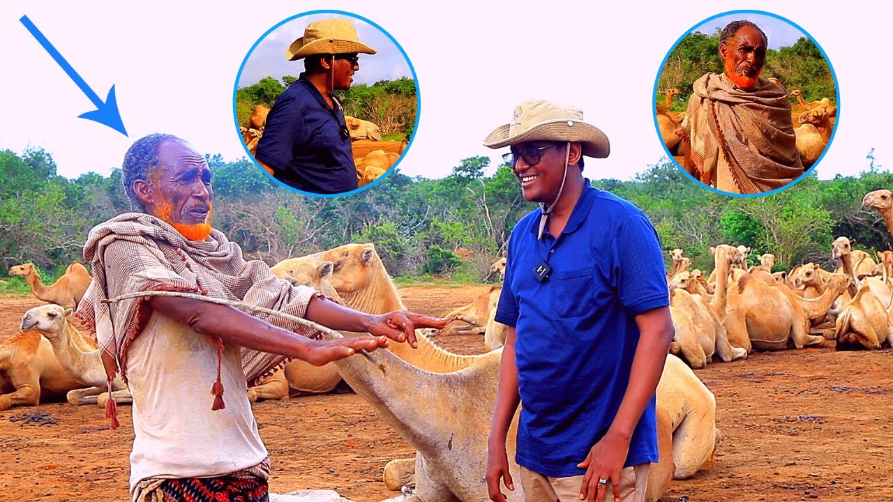 Geeljire 70 Jir ah oo aan waligii Guursan oo Geela uu dhaqi jiray oo ka sheekeeyay Qisooyin Yaab leh