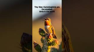 Sounds of Nature, Meditation Music for Deep Sleep and Relaxation #shorts #nature #birdsong  #birds