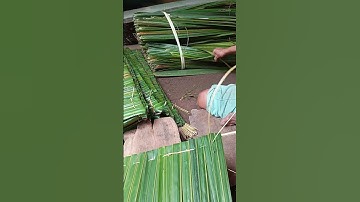 Nagtatahi nang Nipa #nipa#traditional #travelvlog