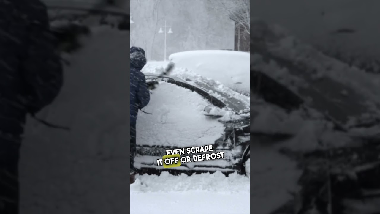 Worst Snow Storm of the Decade 😳