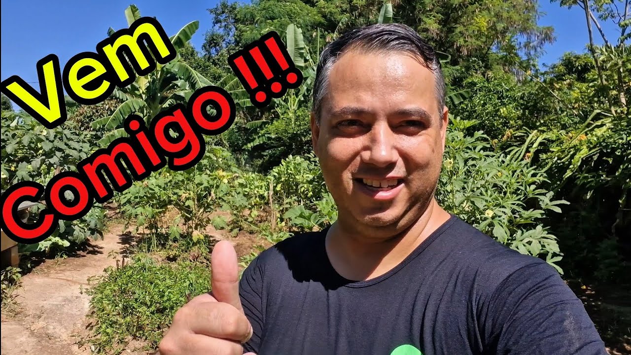 Jataí, transferência completa 