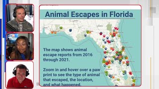 Florida s Fourth Estate Googling exotic animals that have escaped in Florida