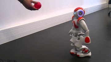 NAO robot tracking a red ball