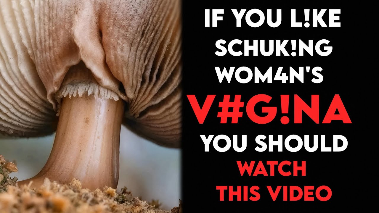 Just Say These 6 Words & Instantly Attract Anyone | Stoic Psychology Secrets