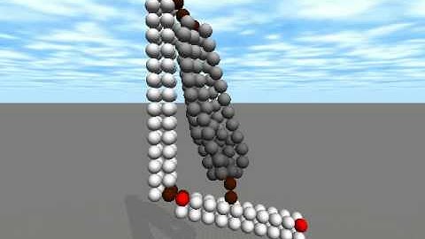 Catoms performing Muscular Actuation using Central Pattern Generators