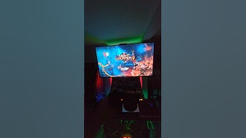 NightHunter Arcade working with dual light guns!