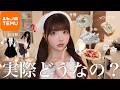 検証┊TEMUで気になるもの買ってみた🧡ೀ購入品紹介🛒⟡.·*.【爆買い】