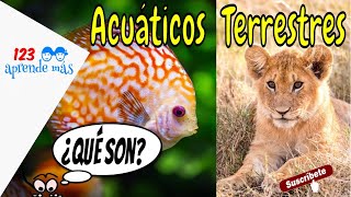 Animales ACUÁTICOS y TERRESTRES para niños de primaria. Animales ACUÁTICOS y TERRESTRES para niños de primaria.