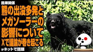 【因果関係】熊の出没多発とメガソーラーの影響についてXで議論が巻き起こるが話題