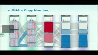 Supporting Subtype Characterization Through Integrative Visualization... - Nils Gehlenborg
