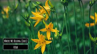 Veha - Where We Belong Edit