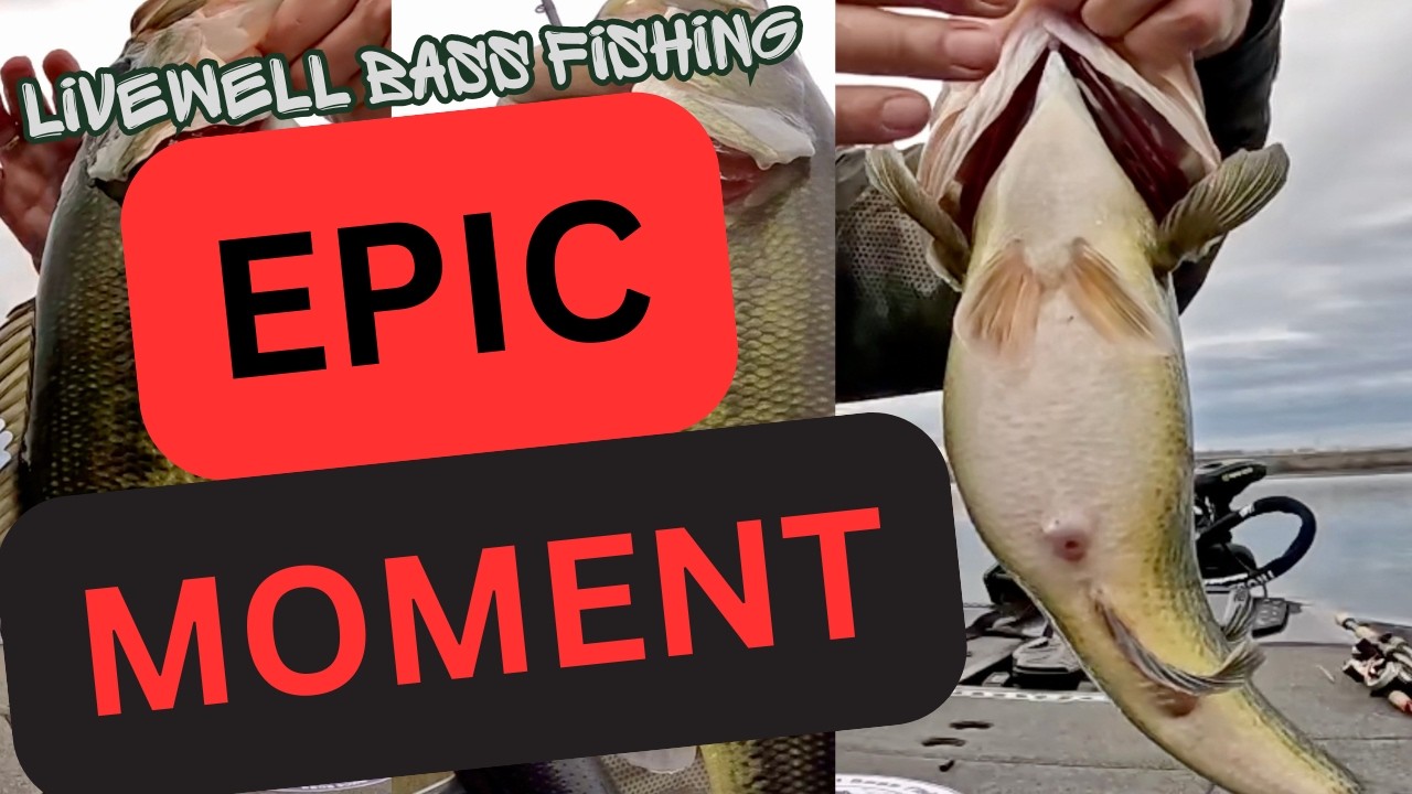 EPIC MOMENT BASS FISHING