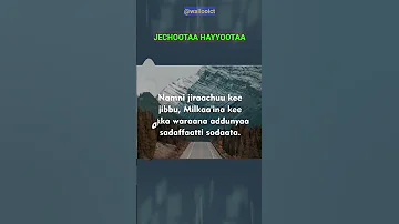JECHOOTA HAYYOOTA ADDUUNYAA FILATAMOO TAHAN SHANAN 