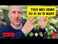 Semis et plantations de mars ► Tomates, laitues, fèves... et tellement   encore ! 🥳#potager