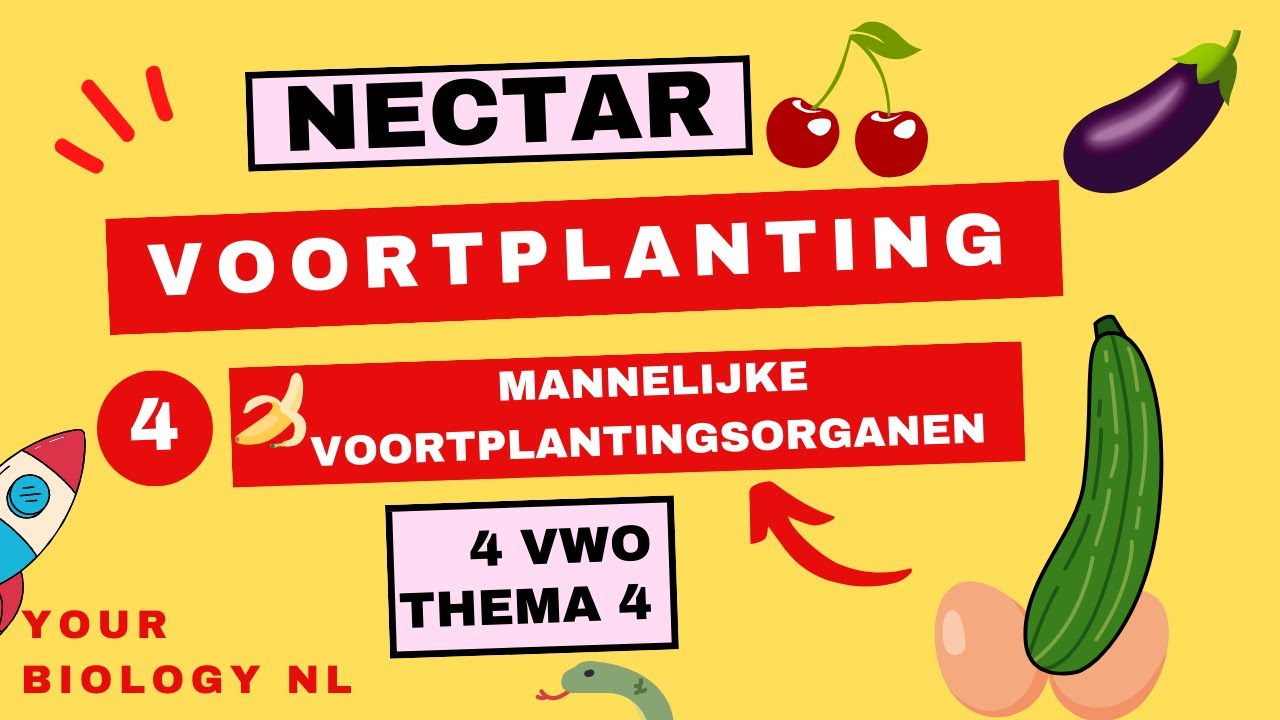 Sappige Groene Spruiten Van Jonge Erwten In Helder Zoicht Op Het Landbouwbedrijf Groeiende Biologische Producten De Zijn Image149369482
