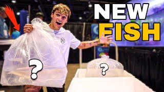 BUYING My DREAM FISH for 4000G Backyard POND!!